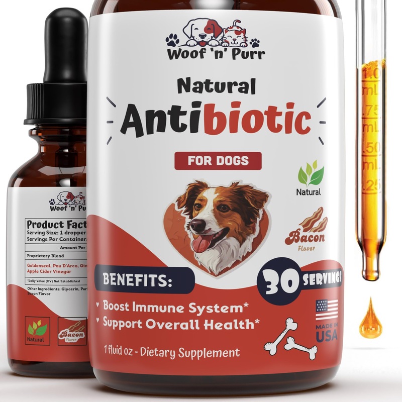 Natural Dog Antibiotics – Antibiotics for Dogs – Supports Immune Health, Itch Relief, Allergy Relief & More – Antibiotic for Dogs – Itch Relief for Dogs – Yeast Infection Treatment for Dogs – 1 oz