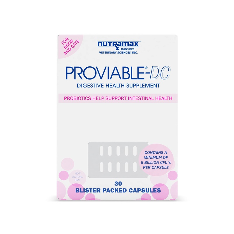 Nutramax Proviable Health Supplement for Cats and Dogs 30 Count