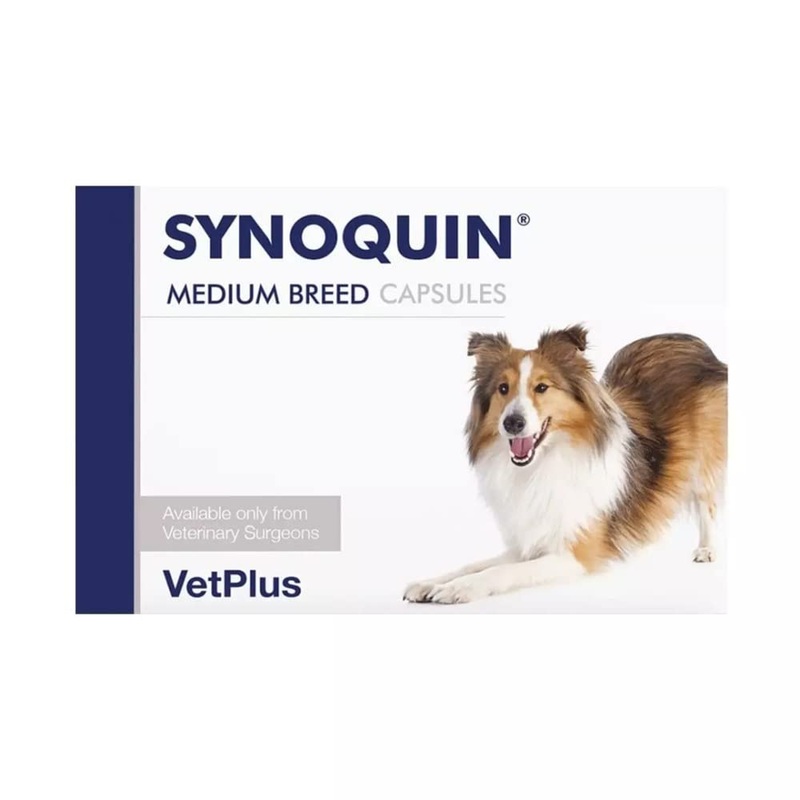 Synoquin Medium Breed – Dogs 10-25kg x 1