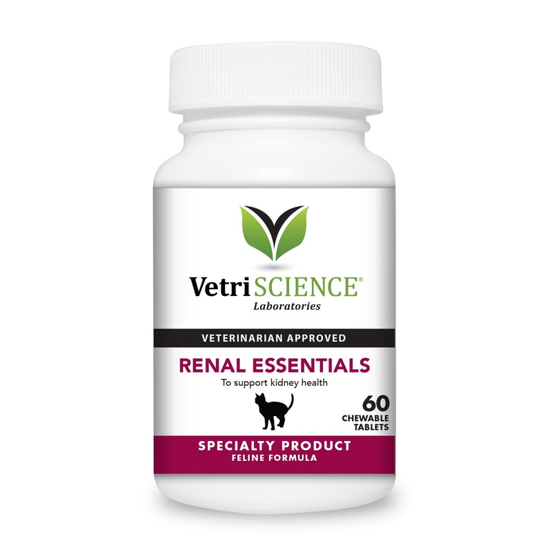 VetriScience Laboratories – Renal Essentials, Kidney Health Support for Cats, 60 Chewable Tablets