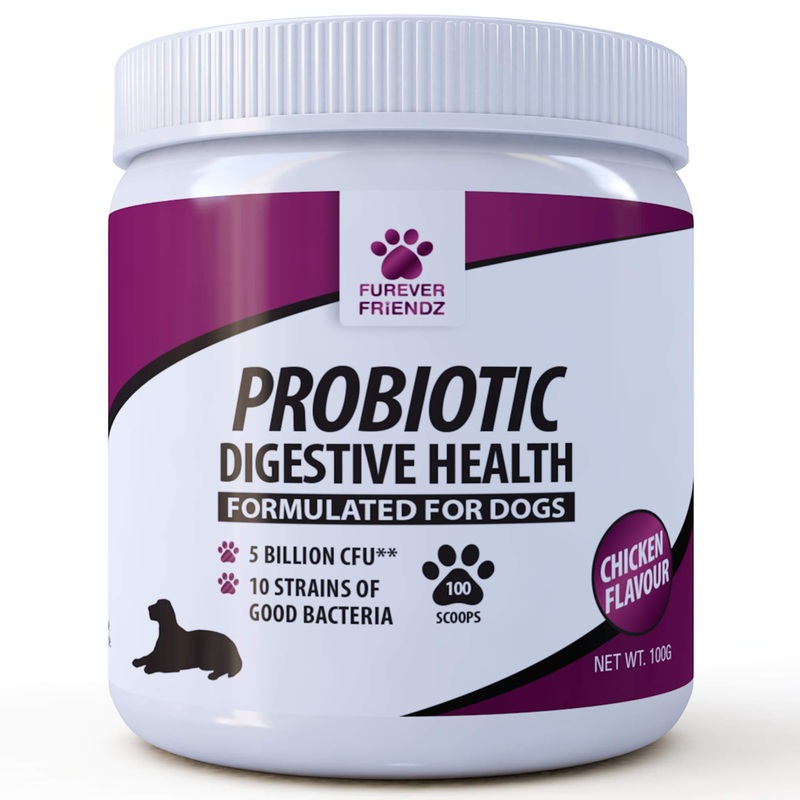 Canine Dietary Supplement, Probiotics for Dogs Digestive Health, 100g Powder  Furever Friendz