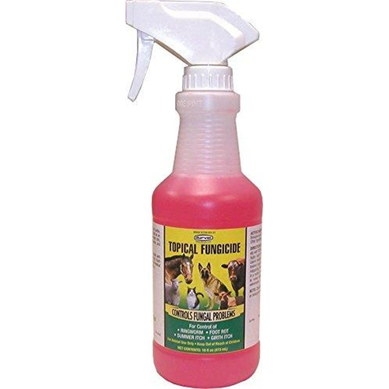 Durvet Topical Fungicide With Spray Pint 16 Oz