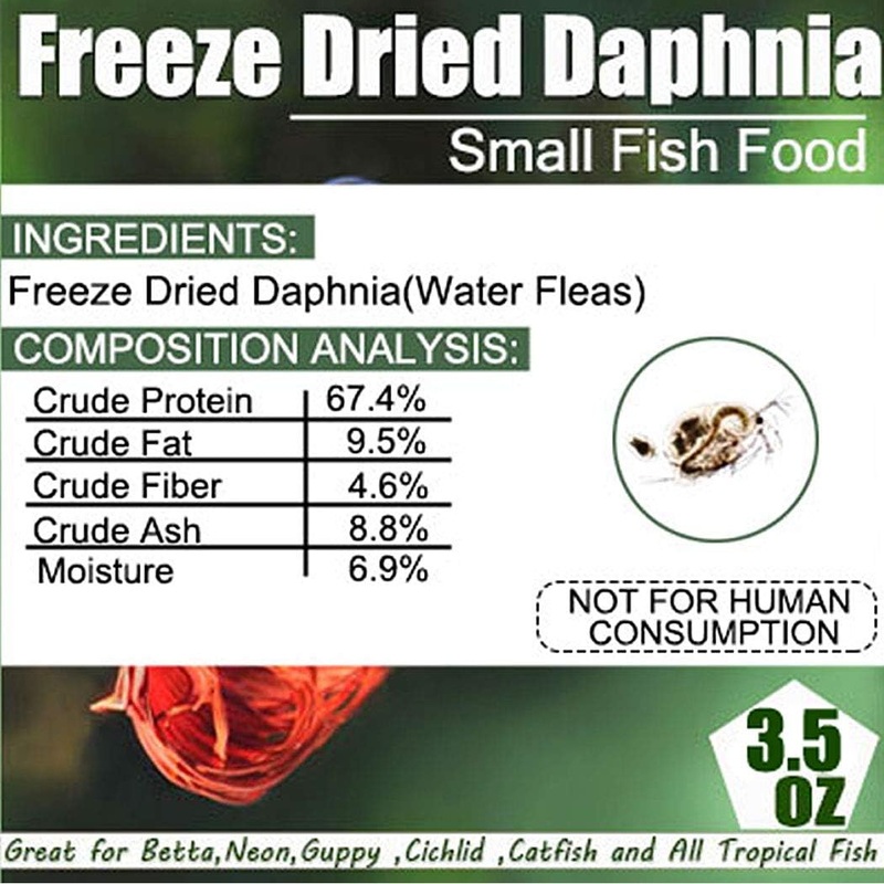 Freeze Dried Daphnia 2-Ounce (Water Flea) Fish Food Aquarium Zooplankton Shrimp Tiny Fish, Babies, Corals, Betta, Neon, Guppy, Cichlid, Catfish And All Tropical Fish