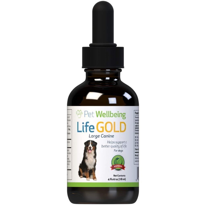 Pet Wellbeing – Life Gold For Large Canines – Natural Cancer Support For Dogs – 4 Ounce (118 Milliliter)
