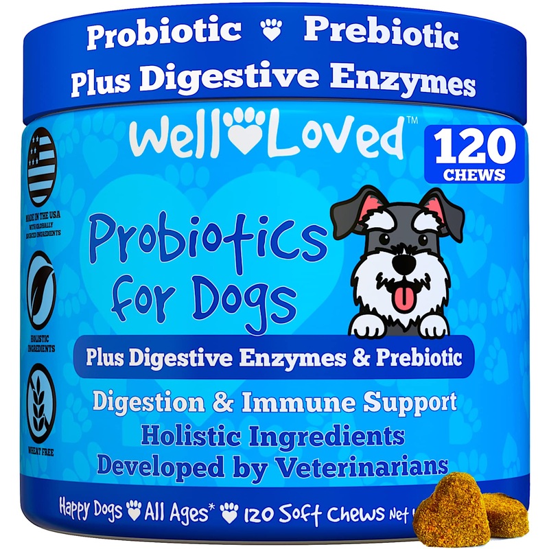 Well Loved Probiotics for Dogs – Dog Probiotics and Digestive Enzymes, Made in USA, Vet Developed, Dog Probiotic Chews with Prebiotics, Diarrhea Treatment, for Itchy Skin, Gut Health & Gas Relief