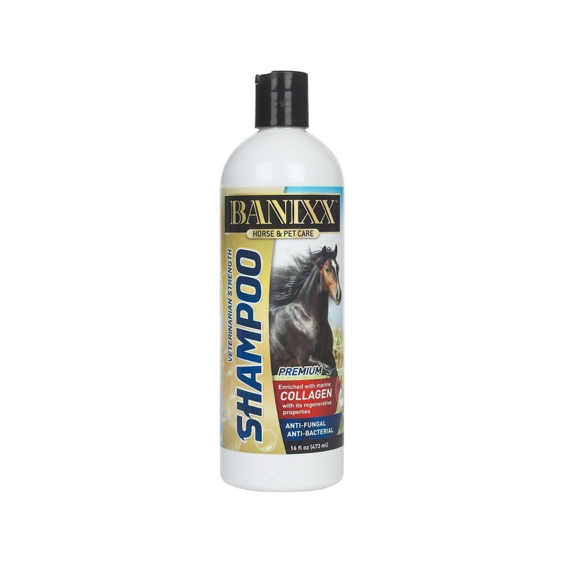 Banixx Medicated Anti-Fungal, Anti-Bacterial Shampoo