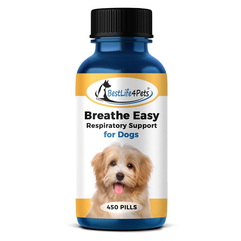 BestLife4Pets Breathe Easy Respiratory Support for Dogs – Natural Relief for Kennel Cough, Runny Nose, Sneezing and Sinus Congestion – Non-drowsy, Easy to Use (450 Pills)