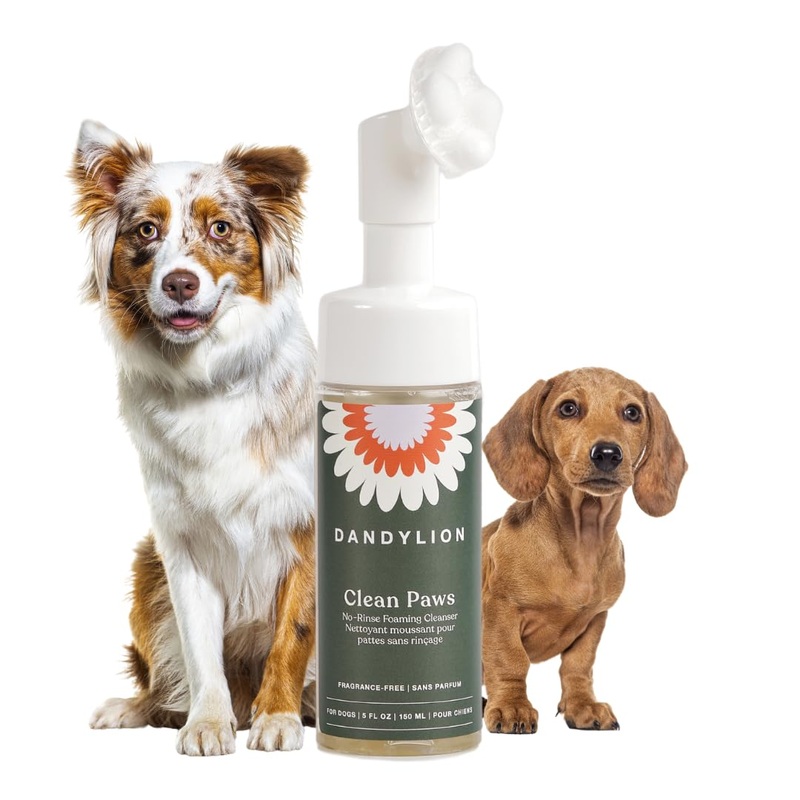 Dandylion Clean Paws | No-Rinse Puppy Paw Cleaner & Dog Paw Wash | Gentle, Fragrance-Free, pH Balanced Foaming Cleanser with Silicone Bristle Brush | Safe for All Dogs | 5 fl oz 5 Fl Oz Bottle with Brush