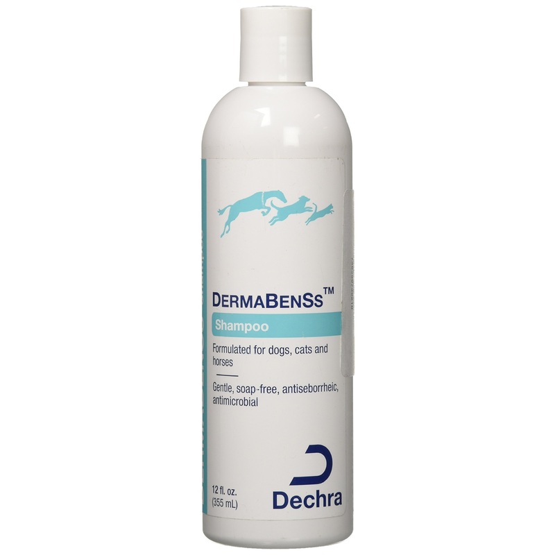 Dechra DermaBenSS Shampoo, 12 oz.