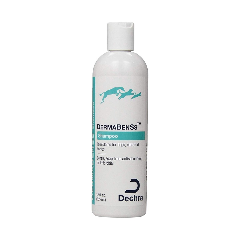 Dechra DermaBenSs Shampoo for Dogs, Cats & Horses (12oz) – Gentle, Soap-Free, Antiseborrheic and Antimicrobial (1810011)
