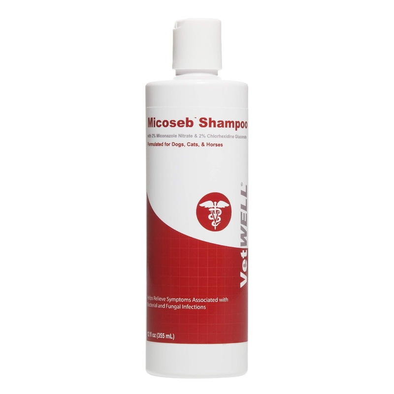 Micoseb Medicated Shampoo for Dogs & Cats – Antifungal Dog Shampoo with Miconazole, Chlorhexidine & Aloe for Fungal & Bacterial Skin Infection Treatment of Yeast, Ringworm, Mange, & Acne – 12 oz