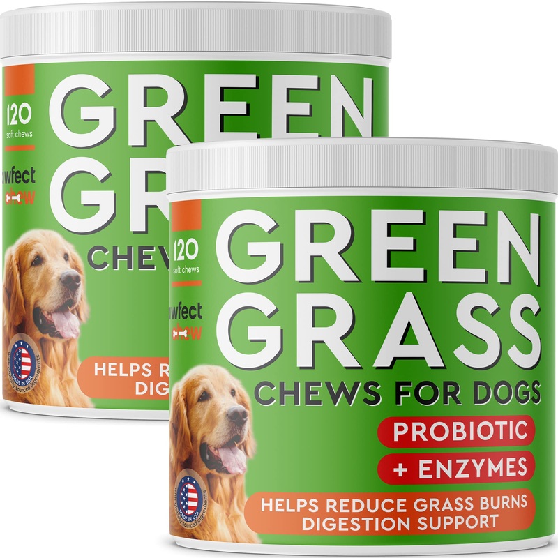 PAWFECTCHEW Grass Burn Spot Chews for Dogs – Dog Pee Lawn Spot Saver – Urine Neutralizer for Grass Burn Spots – Dog Pee Lawn Repair Treats w/Probiotics – Made in USA – Bacon Flavor – 240 Chews