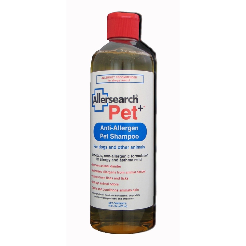 Pet+ Dog Shampoo 16 Oz
