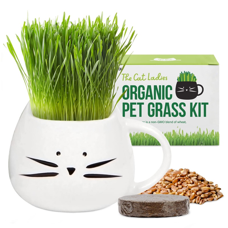 The Cat Ladies Organic Cat Grass for Indoor Cats – Growing Kit with Organic Seed Mix, Soil and White Cat Planter. Natural Hairball Control and Digestion Remedy, Cat Gifts