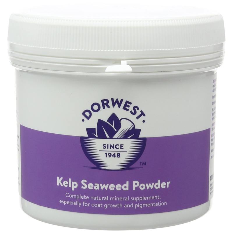 DORWEST HERBS Kelp Seaweed Powder for Dogs and Cats 500g