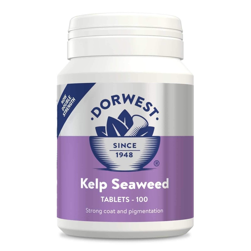 Dorwest Herbs Kelp Seaweed Tablets for Dogs and Cats 100 Tablets