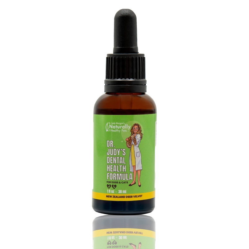 Dr. Judy Morgan’s Dental Health Formula for Dogs & Cats, 1 fl oz (30 ml)