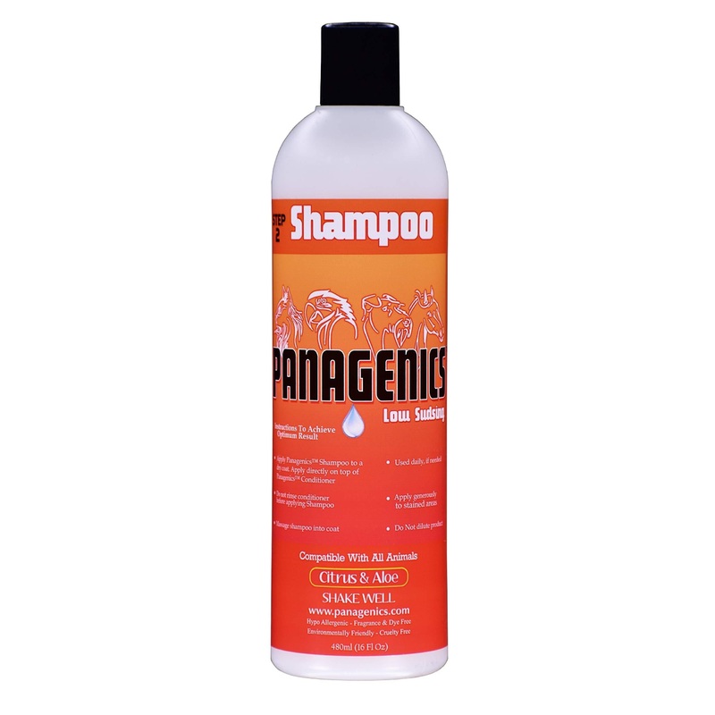 Panagenics | Pet Shampoo – Safe for ALL animals, Unscented, Contains Citrus and Aloe Active Ingredients – 16 ounce bottle
