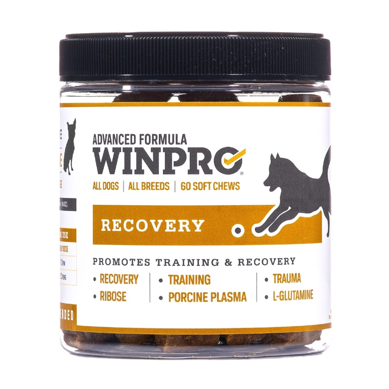WINPRO Recovery Chews for Dogs, Plasma-Powered for Active Dogs, Immune System Support, and Dog Training Support for Competition and Sport Muscle Recovery and Agility, 60 Count, Made in USA