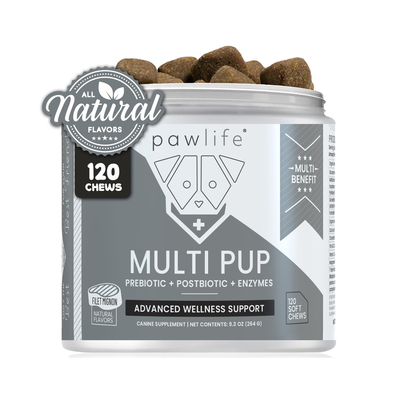 All Natural Multivitamin Soft Chews for Dogs| Glucosamine Chondroitin for Joint Support with Probiotics for Gut & Immune Health| Mobility and Advanced Wellness Support|4-Month Supply