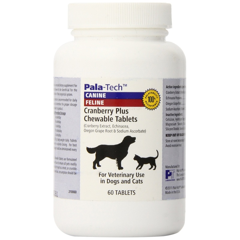 Cranberry Plus Chew Tabs 60 ct