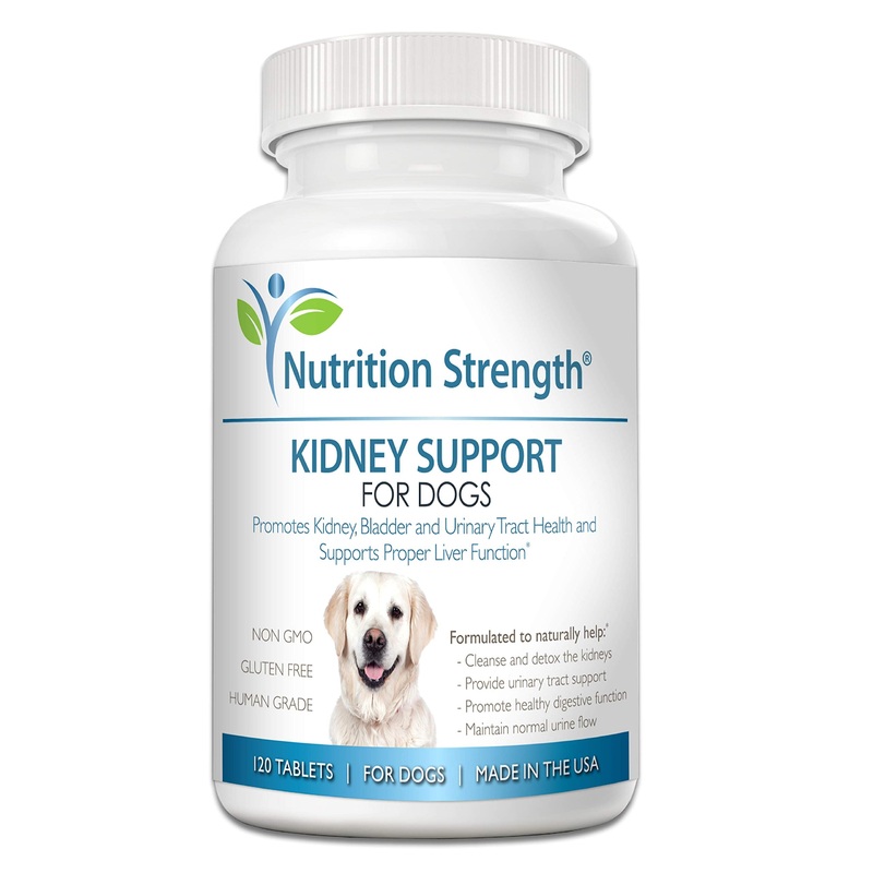 Kidney Support for Dogs – Renal, Bladder and Urinary Tract Health Supplement, Plus Immune and Digestive Support, with Organic Cranberry and Astragalus, 120 Chewable Tablets