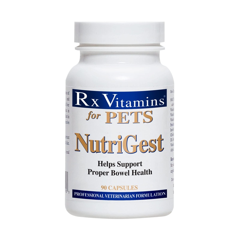 Rx Vitamins for Pets Nutrigest for Dogs & Cats – Helps Support Proper Bowel & Digestive Health – Veterinarian Formulated Probiotic – 90 Capsules Original Label