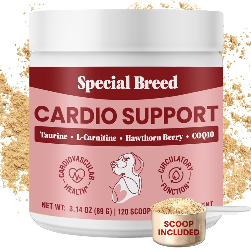 Special Breed Cardio Support for Dogs – Heart Health Support with Taurine, CoQ10, Organic Hawthorne Berry, Powder Supplement, 120 Scoops, 3.14 oz