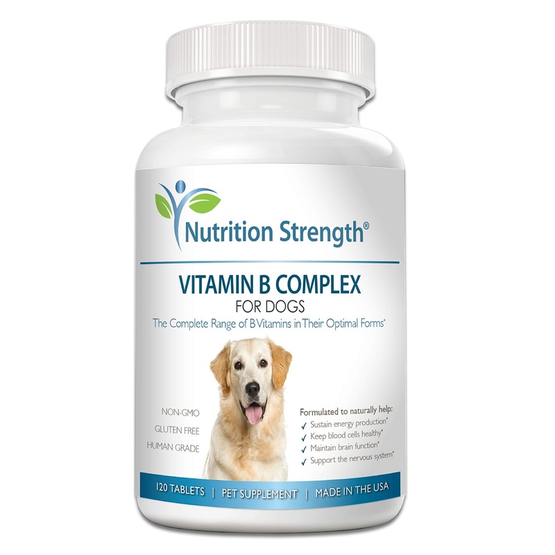 Vitamin B for Dogs, Complete B Complex for Dogs, Promote Blood Cell & Nervous System Health, Help Sustain Cellular Energy Production & Maintain Brain Function, 120 Chewable Tablets