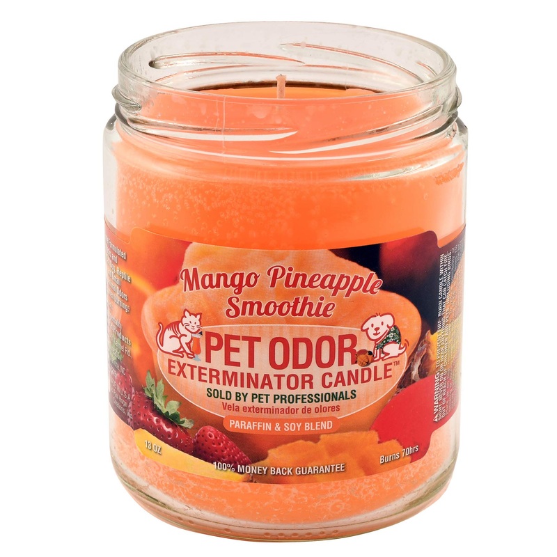 0 Candle Mango Pineapple Smoothie