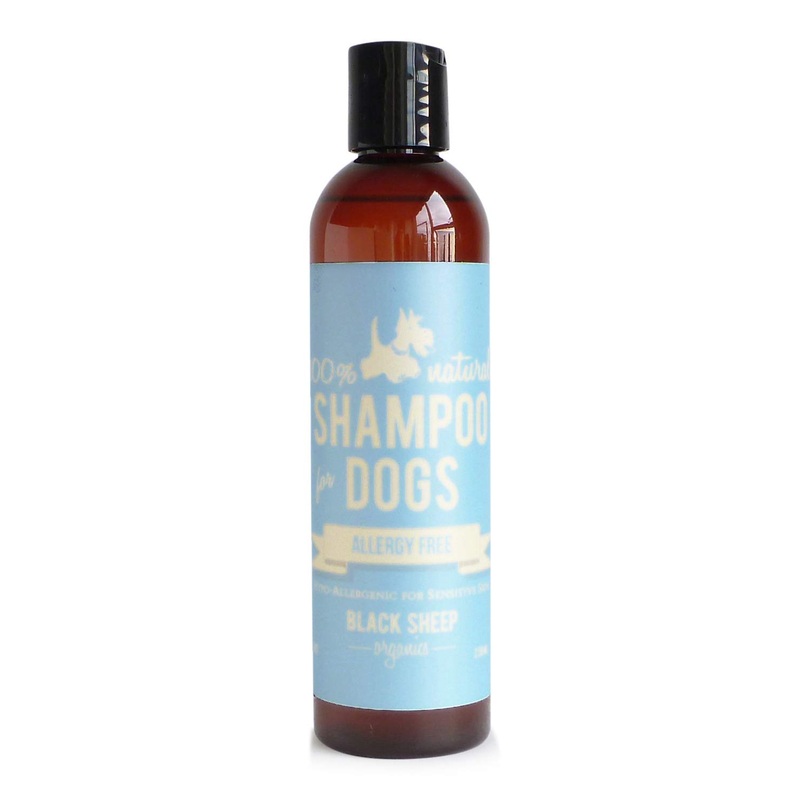 Allergy Free Shampoo for Sensitive Dog Skin – Unscented Hypoallergenic with Natural Ingredient – Olive and Coconut Oil for Dogs with Shea Butter- Made in Canada Allergy Free