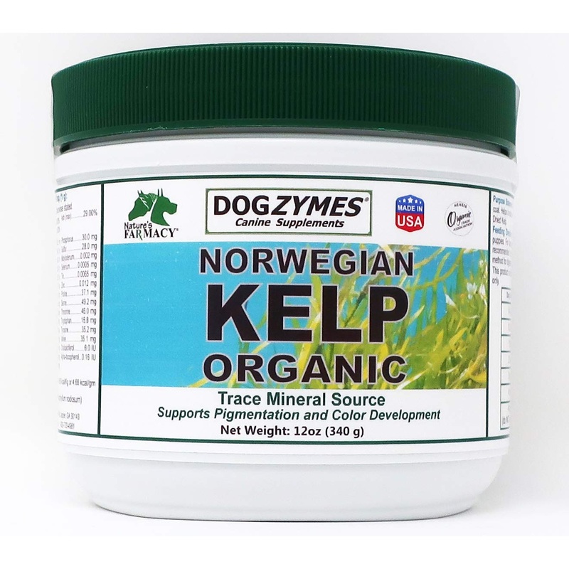 Dogzymes Organic Norwegian Kelp for Pets, a Valuable Nutrition Source Rich in Iodine to Support Gland Function, Especially The Thyroid (12 Ounce) 12 ounce
