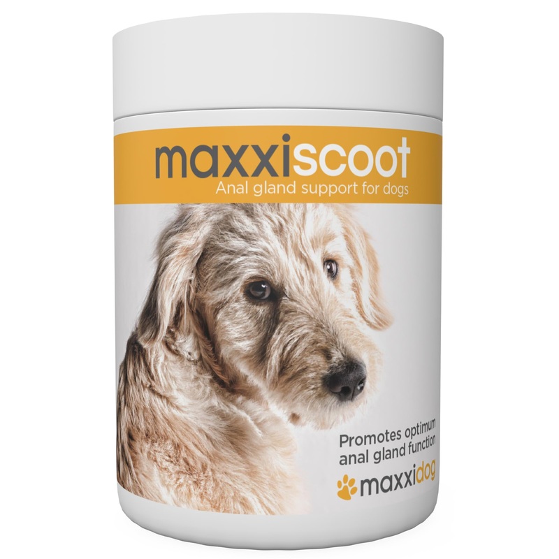 maxxiscoot Anal Gland & Digestive Health Support for Dogs – Powder Supplement, 5oz
