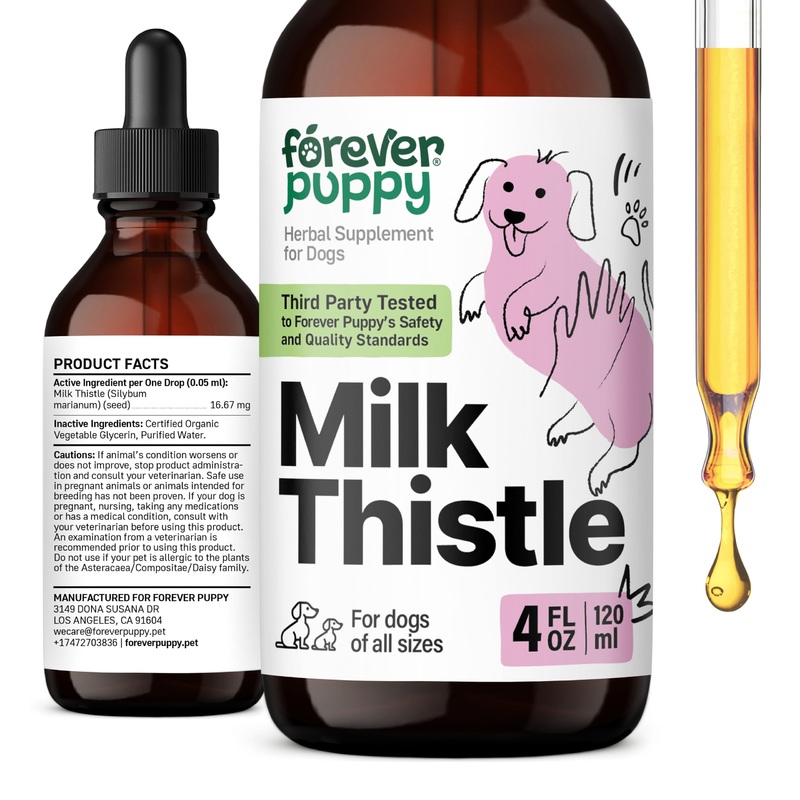 Milk Thistle for Dogs – Liver Supplements for Dogs w/Milk Thistle Liquid Extract – Herbal Liver Support Drops for Large Medium Small Breed – Silymarin Vitamins and Supplements – 4 oz 4 fl oz