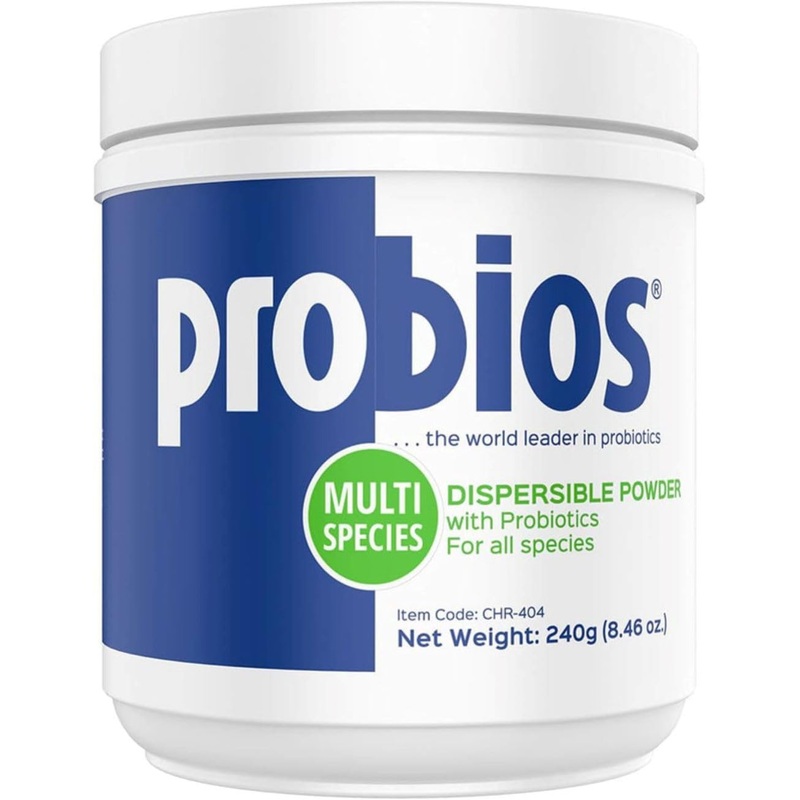 Probios Dispersable Powder – Probios Powder, Pet Probiotic, Probiotics for Swine, Equine, Sheep, Goat, Dog, Cat, Bird, Rabbit, Foals (240 gm) 8.46 Ounce (Pack of 1)