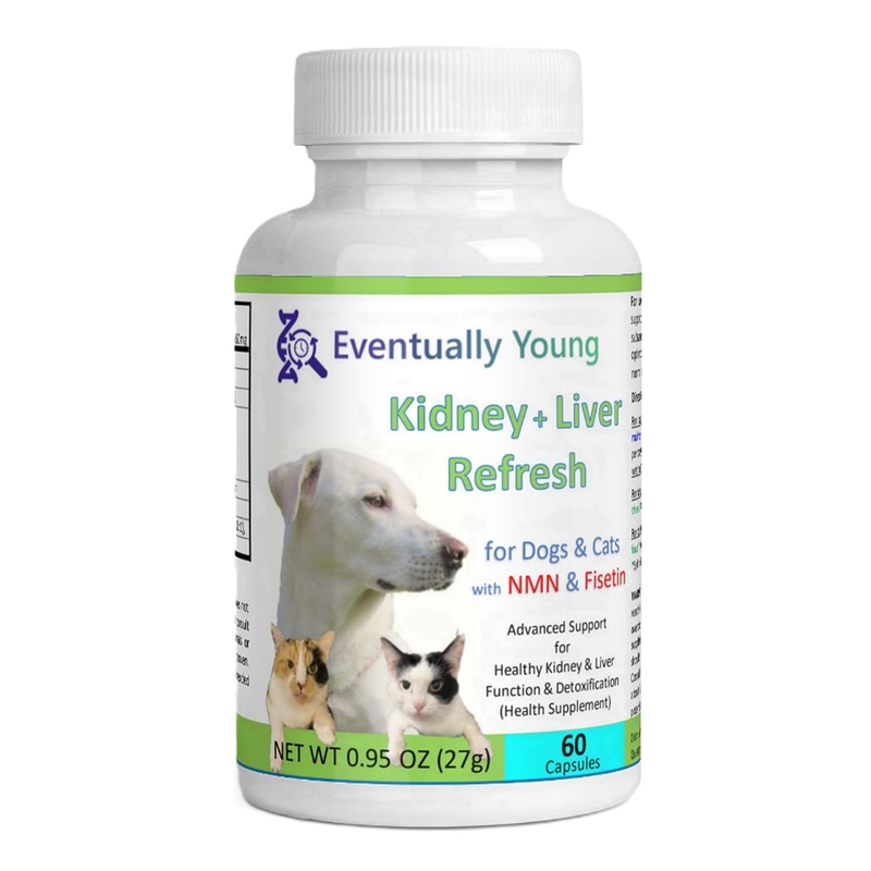 12-in-1 Kidney Support for Dog & Cat with NMN & Fisetin – Super Phosphate Binder Kidney and Liver Supplement for Feline, Canine Healthy Aging & Longevity (60 Capsules) 60 Capsules
