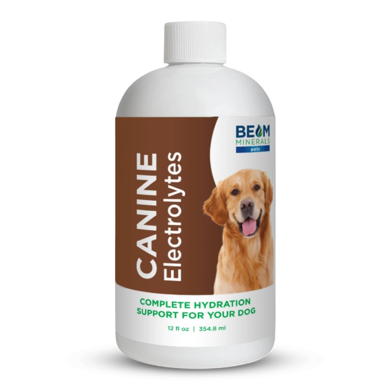 Beam Minerals Complete Canine Electrolytes | Full-Spectrum Electrolytes for Dogs | 12 Fl Oz