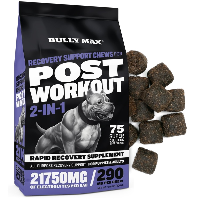 Bully Max 2-in-1 Post-Workout Recovery Support Chews – Dog Vitamins and Food Supplement for Small & Large Breeds – Puppy and Adult Dog Hydration & Electrolyte Replenishment – 75 Soft and Tasty Chews 1 Pack