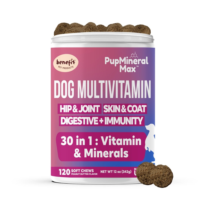 Dog Multivitamin Soft Chews – 120 Count – Dog Joint Supplement, Digestive, Immune, Skin, Coat – Combined Advanced Vitamins for Dogs, All Dog Ages – Made in USA