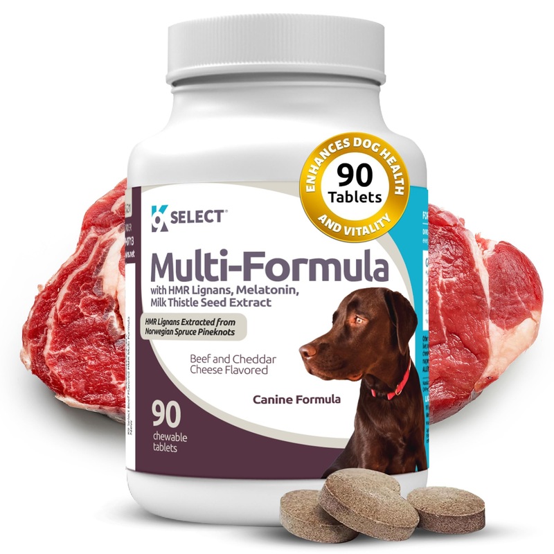 K9 Select Multi-Formula Dog Vitamins for Large Dogs – 30mg HMR Lignans, 3mg Melatonin, 60mg Milk Thistle – Helps Heart, Liver, Digestion, Skin & Coat Health, Dog Multivitamin, 90 Tablets, Beef Flavor 30mg Beef Flavored