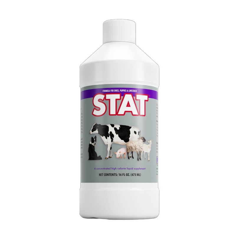 PRN Pharmacal STAT – High Calorie Nutritional Supplement to Help Restore Hydration & Nutrition Levels in Animals – Vanilla Flavored Dietary Support with Vitamin A, D3, C, E, & More – 16 Fl Oz