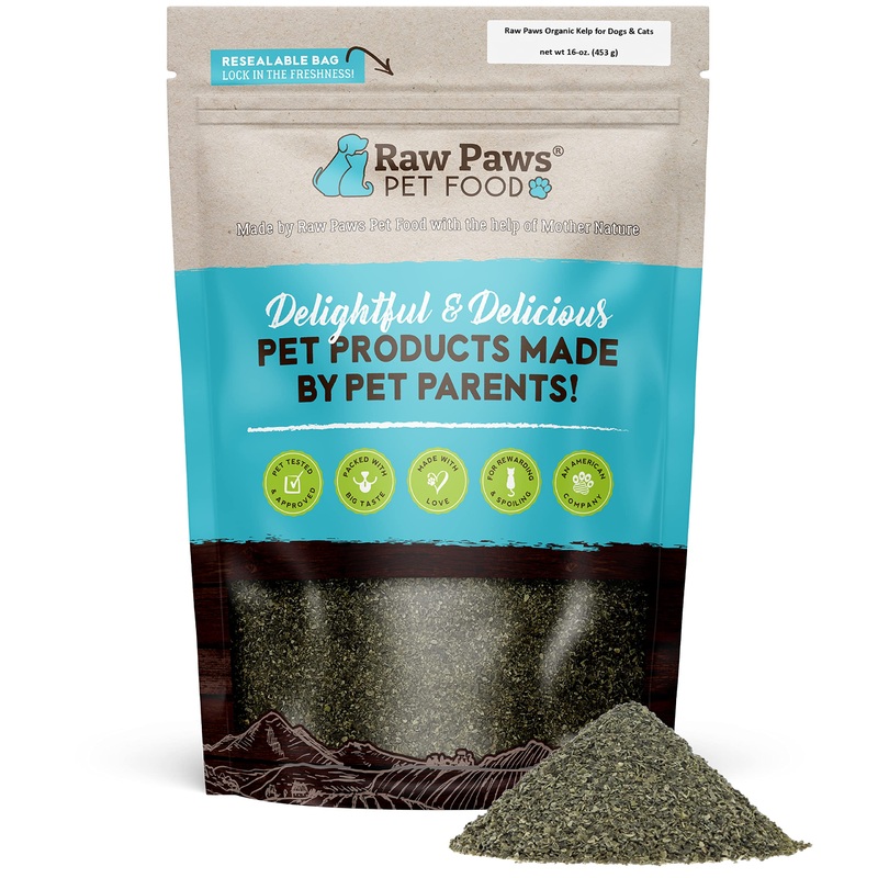 Raw Paws Organic Kelp for Dogs & Cats, 16-oz – Iodine Rich for Thyroid, Digestive & Immune Health – Seaweed Powder for Dogs, Sea Kelp for Cats, Kelp Supplement for Dogs, Dried Kelp Powder for Dogs 16 oz