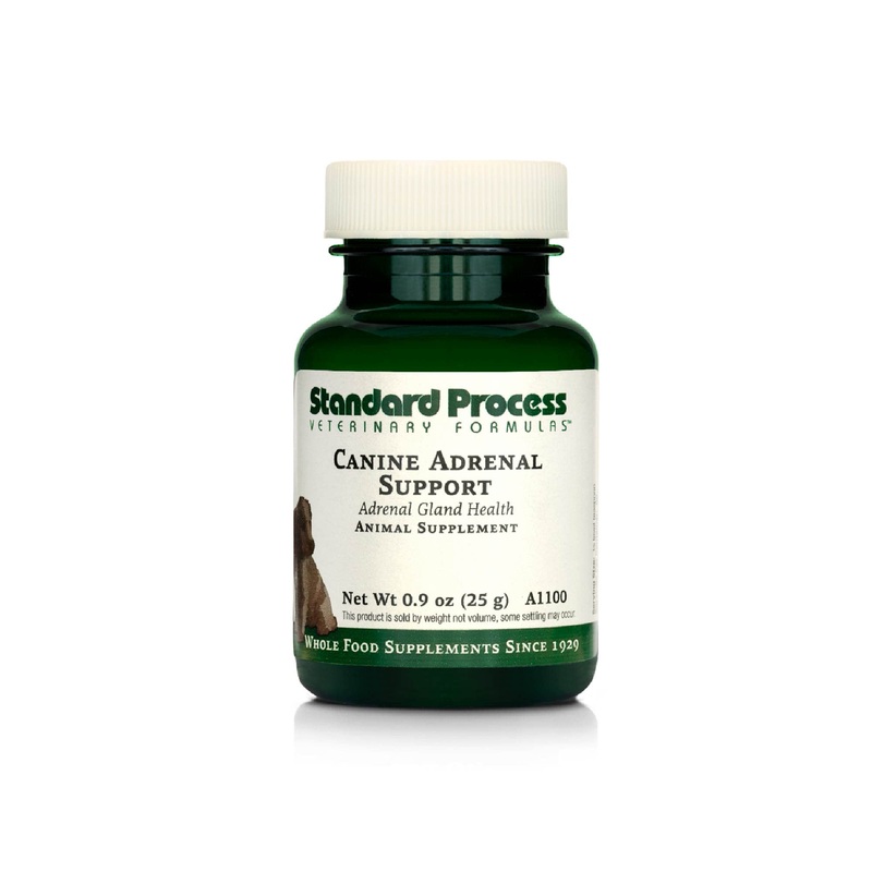 Standard Process Canine Adrenal Support – Canine Support Supplement for Adrenal Health – Nutritional Supplement for Liver & Kidney Support – Powder Dog Supplement Formula to Aid Adrenal Glands – 25 g 25 Grams (Pack of 1)