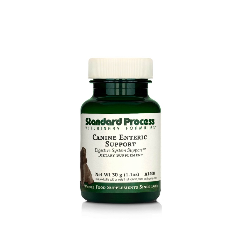 Standard Process Canine Enteric Support – Digestive System Support for Dogs – Nutritional Dog Supplement for Gut Health Support – Canine Supplement Formula to Aid Healthy Digestion – 30 g 30 Grams (Pack of 1)