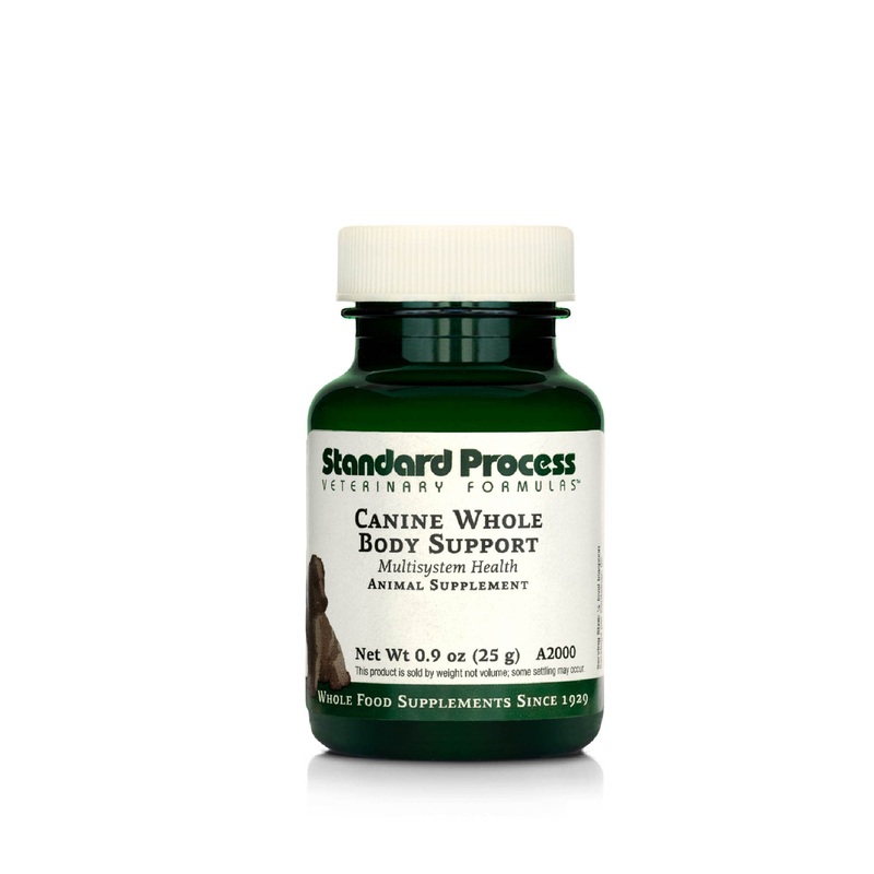 Standard Process Canine Whole Body Support – Multisystem Support Supplement for Canines – Nutritional Powder Supplement for Daily Health Maintenance – Multisystem Supplement Formula – 25 g 25 Grams (Pack of 1)