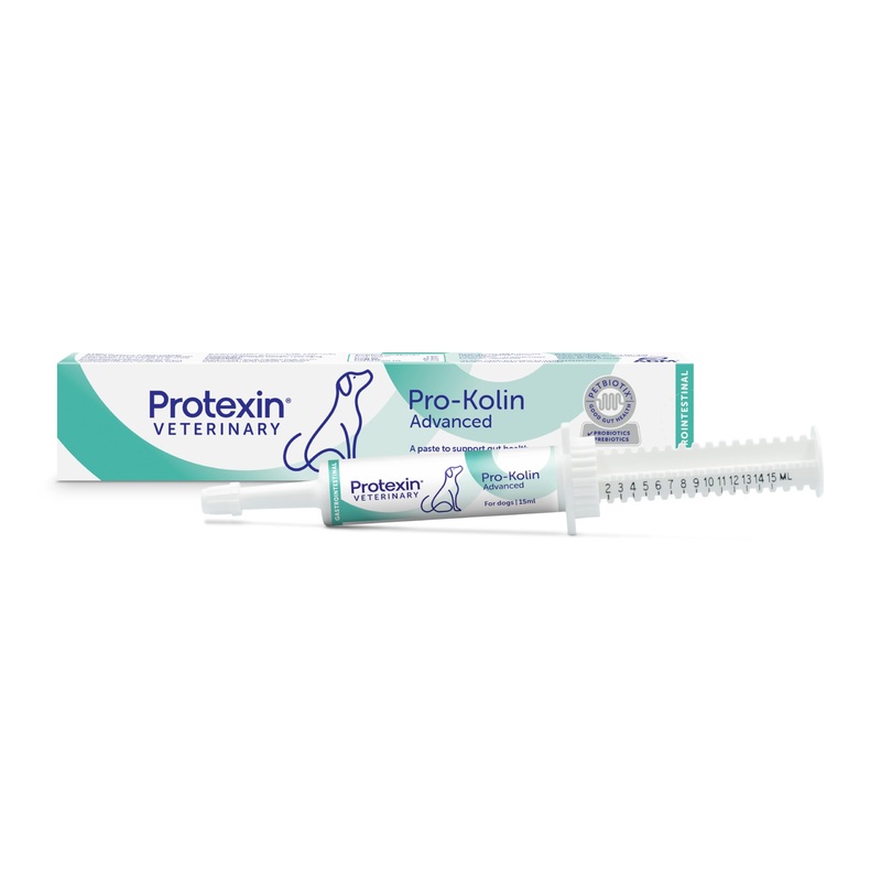 Veterinary Pro-Kolin Advanced for Dogs Pro-Kolin Advanced for Dogs 15ml 15ml Syringe Single