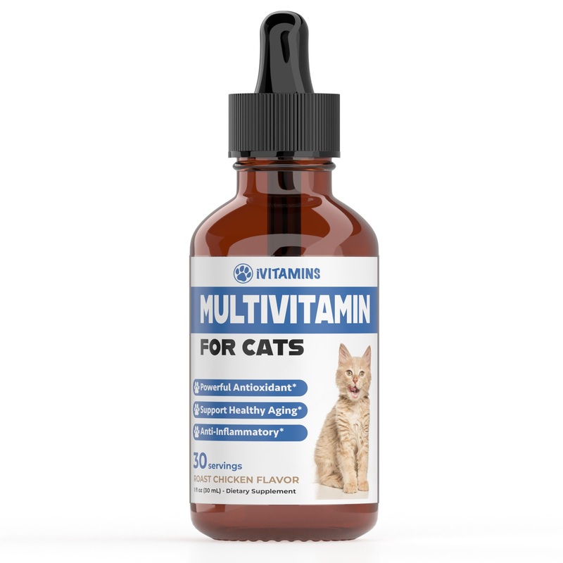 Cat Multivitamin – Supports Immune Health, Skin, Coat, Heart Health & More – Cat Vitamins – Cat Supplements & Vitamins – Cat Vitamins for Indoor Cats – Kitten Vitamins – Cat Immune Support – 1 oz