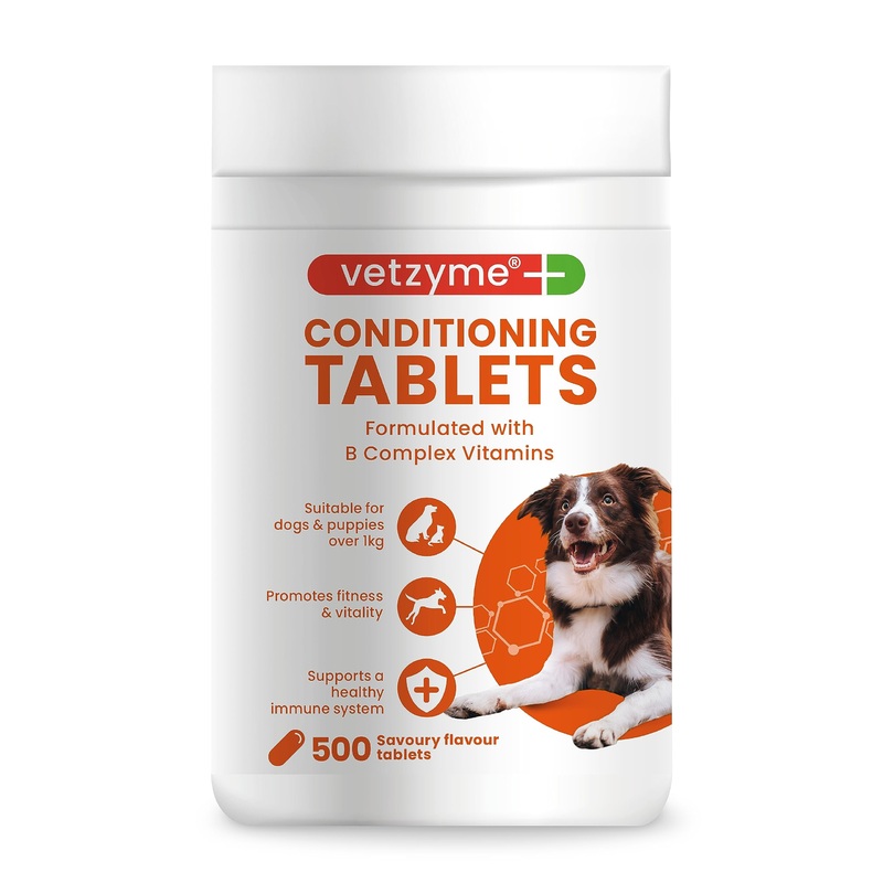 Conditioning Tablets, 500 Tablets