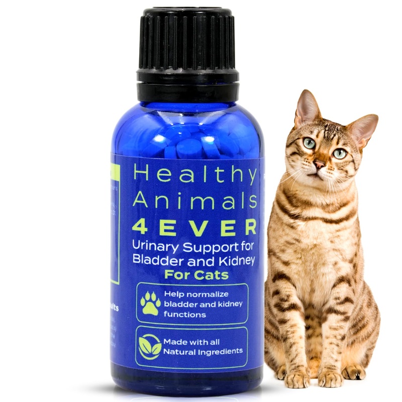 Healthy Animals 4 Ever Urinary Support for Bladder and Kidneys for Cats – for Urinary Tract Infections & Renal Cleansing – Natural, Homeopathic, Non-GMO, Organic – Preservative & Chemical Free – 300ct
