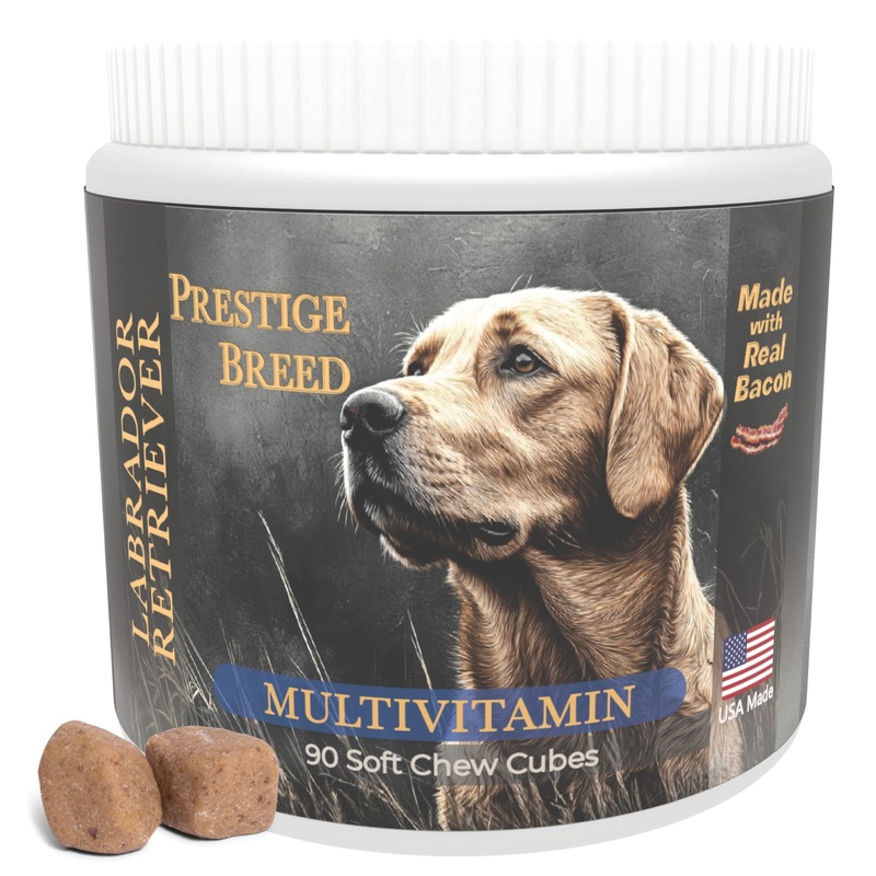 Labrador Retriever Multivitamins, 90 Count, Made in The USA with Real Bacon